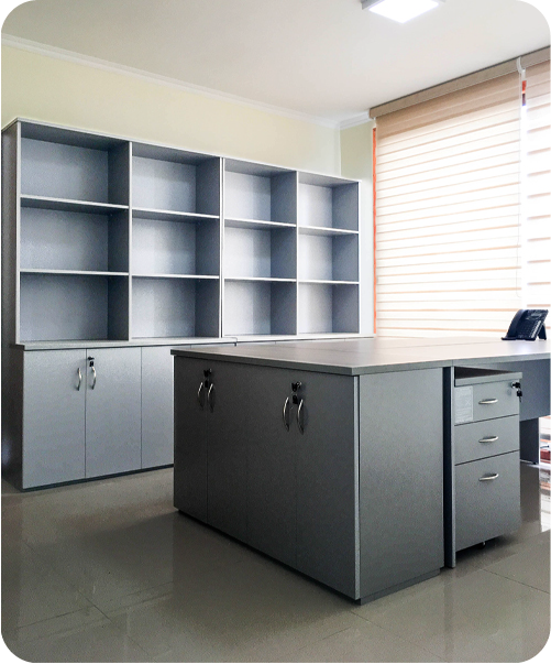 proyecto-coronel